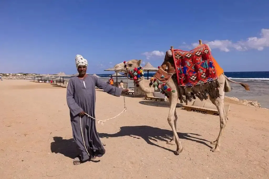 Un homme se tient à côté d'un chameau sur une plage de sable.