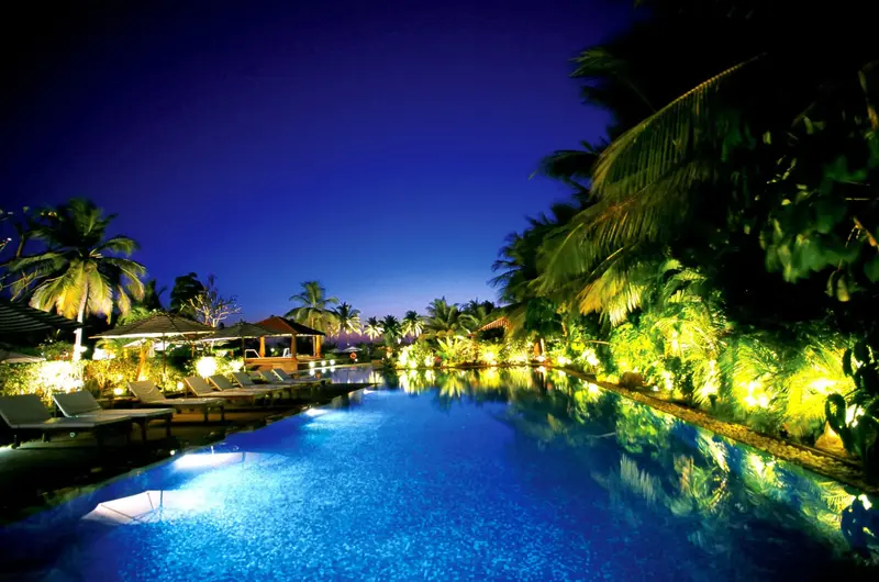 Piscine illuminée au crépuscule avec végétation luxuriante.