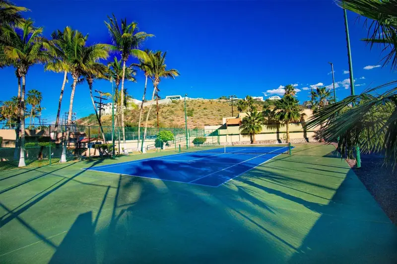 Terrain de tennis en extérieur ombragé par des palmiers sous un ciel bleu.