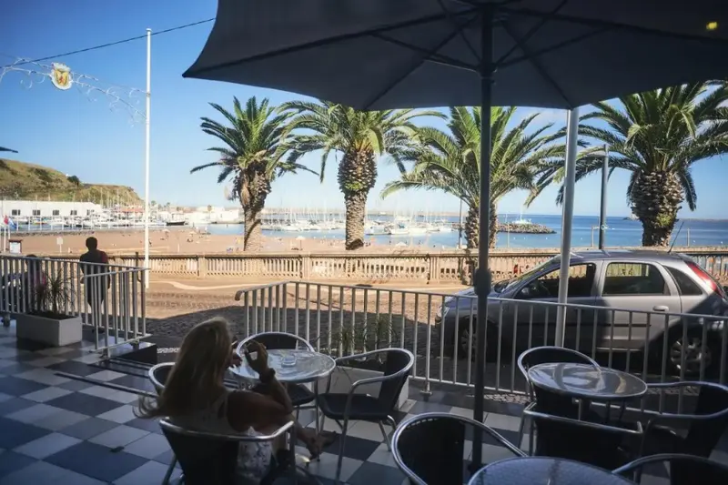 Une terrasse ombragée offre une vue sur un port de plaisance et la mer.
