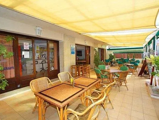 Terrasse ombragée avec tables et chaises pour les repas.