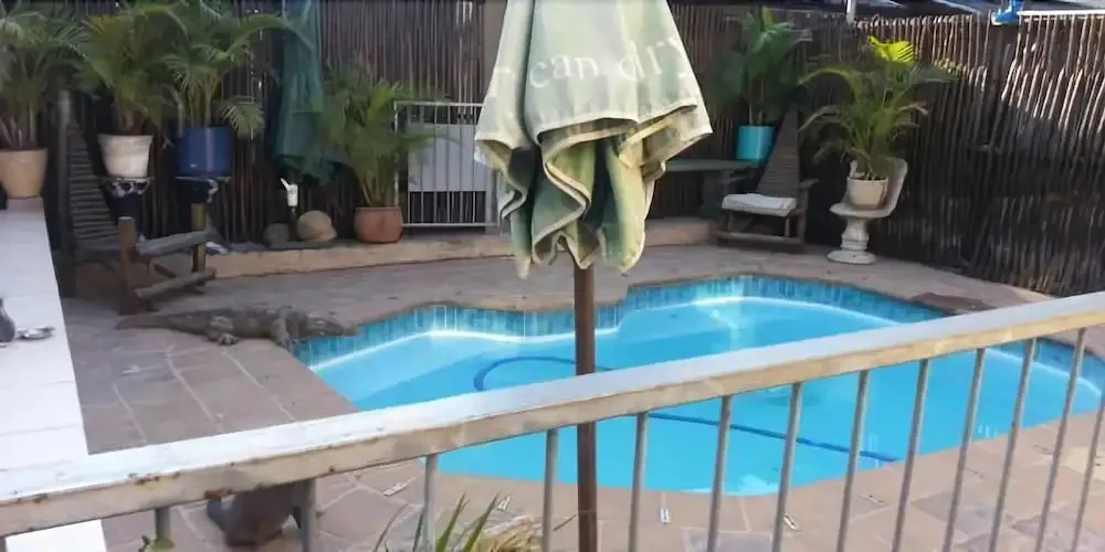 Une piscine rectangulaire entourée de plantes et d'une clôture.
