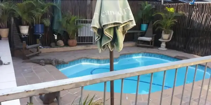 A Family and Friends Guesthouse