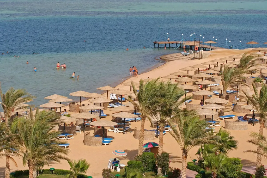 Plage de sable fin avec parasols et transats sous les palmiers.