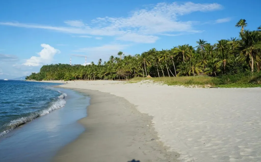 Une plage de sable blanc bordée de palmiers sous un ciel bleu.