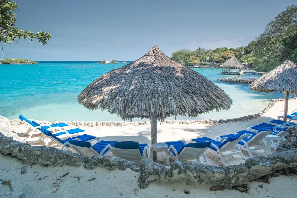 Transats bleus sous des parasols de chaume sur une plage de sable blanc.