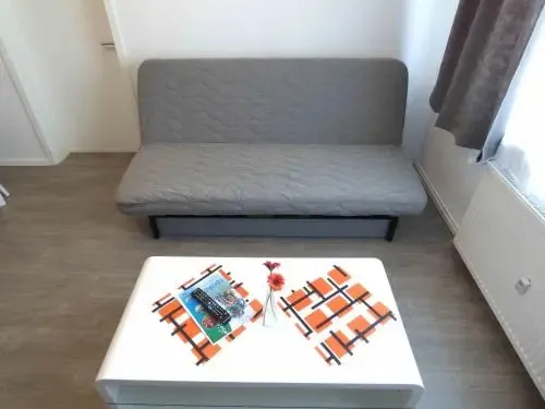 Un canapé convertible gris est placé devant une table basse décorée de fleurs et de magazines.