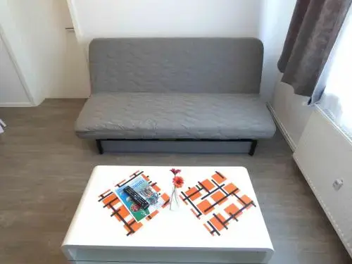 Un canapé convertible gris est placé devant une table basse décorée de fleurs et de magazines.