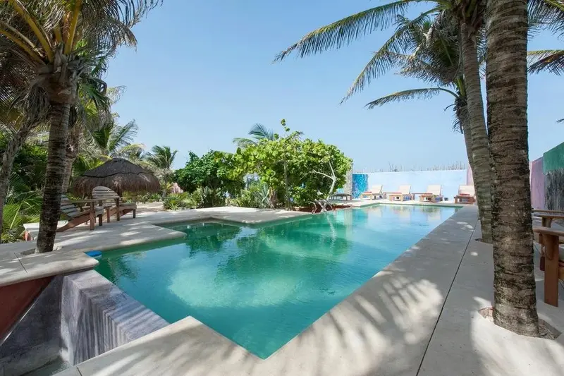 Une piscine rectangulaire bordée d'une terrasse ensoleillée, entourée de végétation tropicale.
