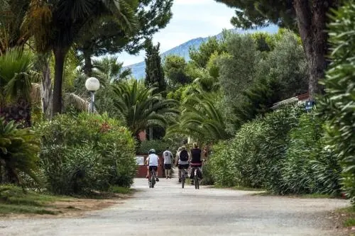 Une allée bordée de végétation mène vers des personnes à vélo.