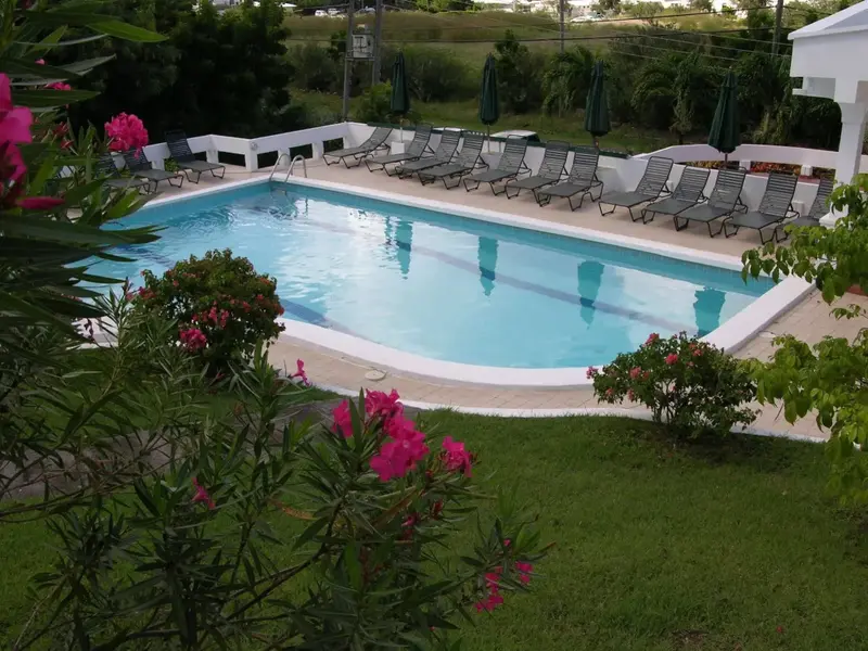Une piscine rectangulaire entourée de chaises longues et de végétation luxuriante.