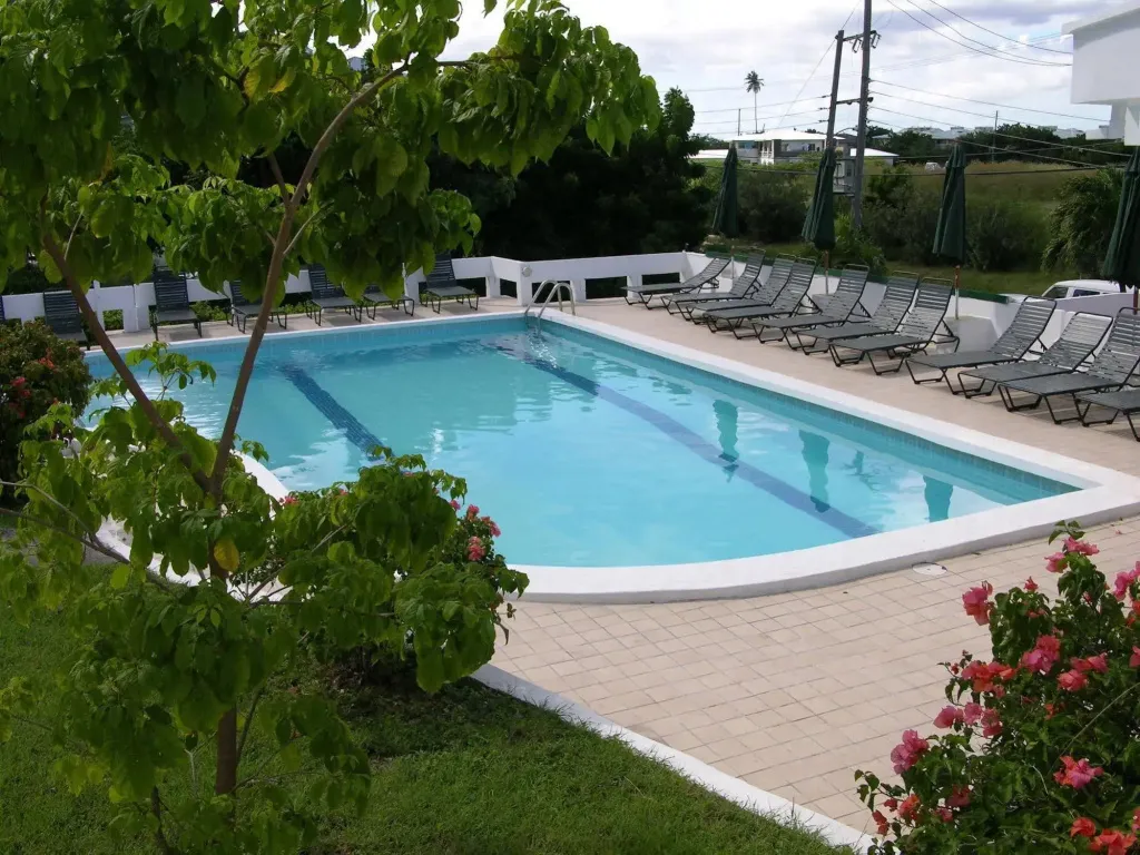 Une piscine rectangulaire entourée d'une terrasse avec des transats.