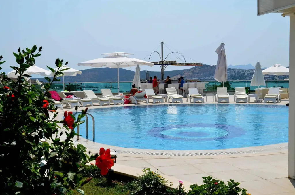 Une piscine ensoleillée avec des transats et un bar en bord de mer.