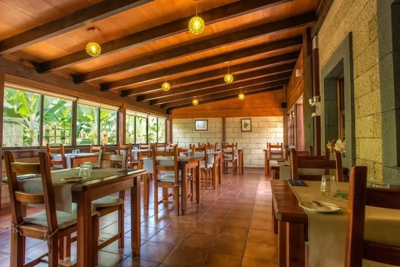 Une salle de restaurant lumineuse avec des tables en bois et des suspensions décoratives.
