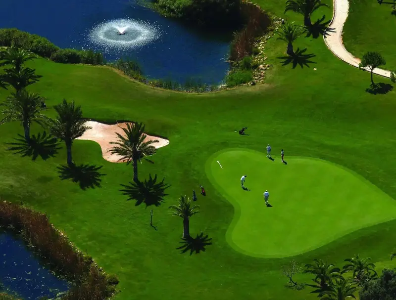 Vue aérienne d'un terrain de golf verdoyant avec des joueurs et des palmiers.