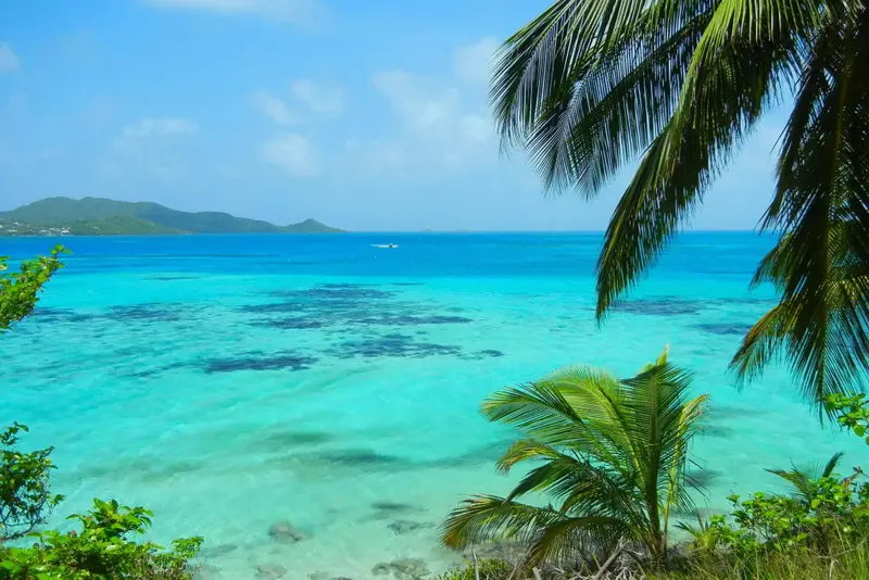 Vue turquoise sur une mer calme et un littoral verdoyant.