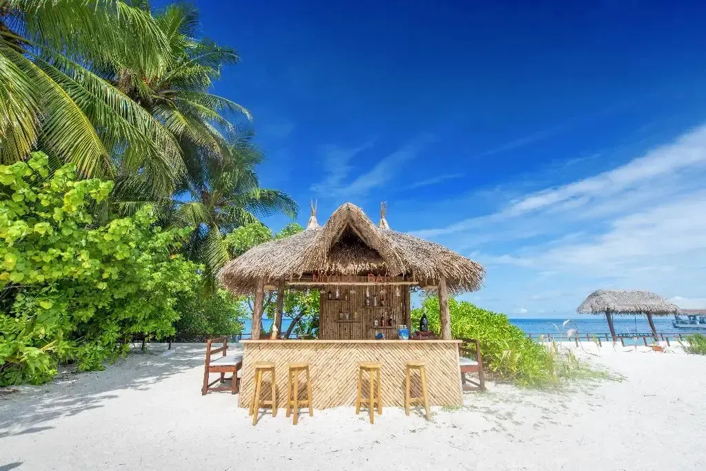 Un bar de plage en bord de mer avec des tabourets et une végétation luxuriante.
