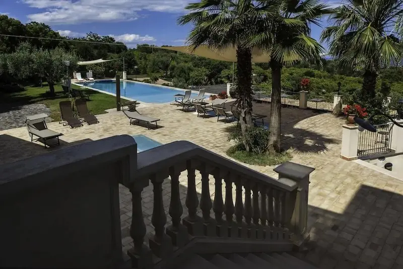 Une piscine bordée de transats et de palmiers, vue depuis un escalier.
