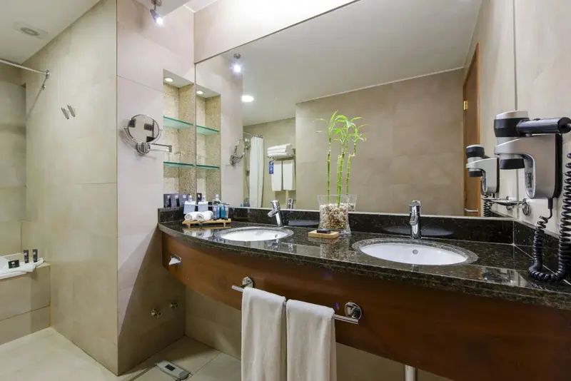 Une salle de bain moderne avec deux vasques et un grand miroir.