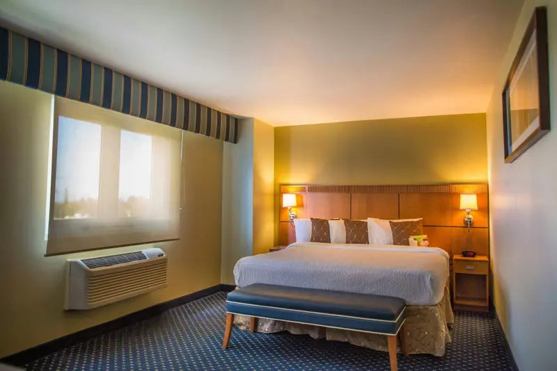 Une chambre lumineuse avec un grand lit et une fenêtre.