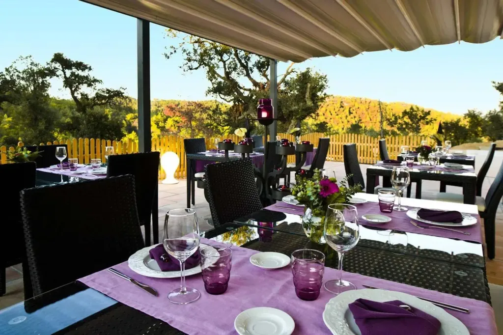 Une terrasse ombragée avec des tables dressées pour un repas.