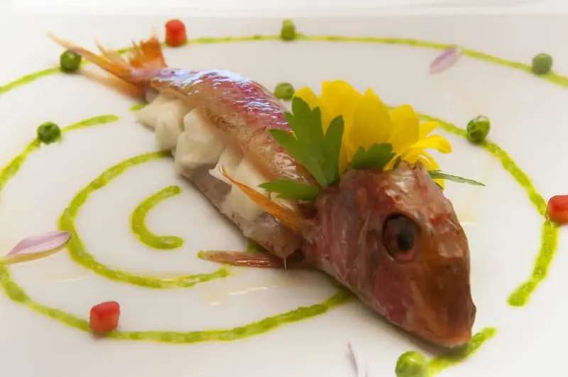 Un poisson préparé avec une sauce verte et des garnitures colorées est présenté sur une assiette blanche.