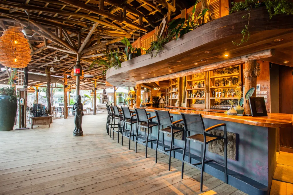 Un long comptoir de bar en bois est aligné de tabourets, dans un espace ouvert et décoré de plantes.