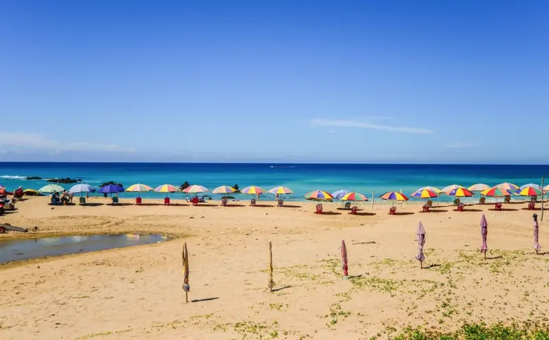 Plage de sable fin bordée de parasols colorés sous un ciel bleu.