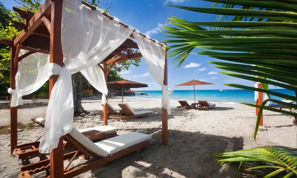 Transats et pergola sur une plage de sable blanc bordée de palmiers.