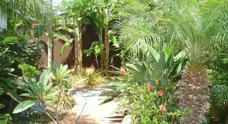 Maui Homestay