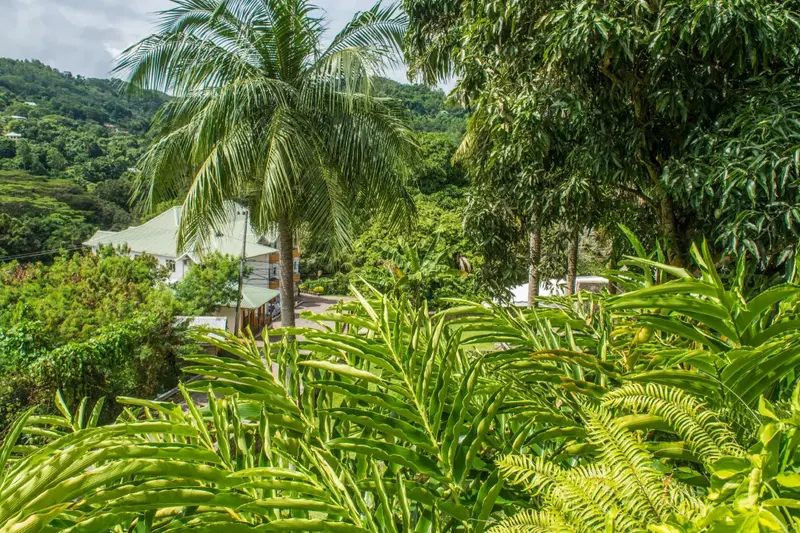 Anse Soleil Resort Self Catering
