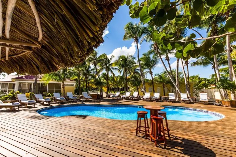 Terrasse en bois avec piscine et chaises longues sous des palmiers.