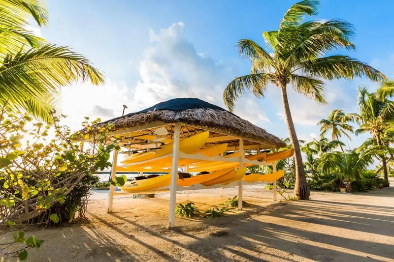 Canoës-kayaks rangés sous un abri de plage ensoleillé.