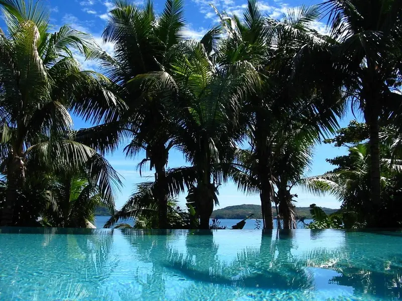 Une piscine à débordement reflète les palmiers et le ciel bleu.