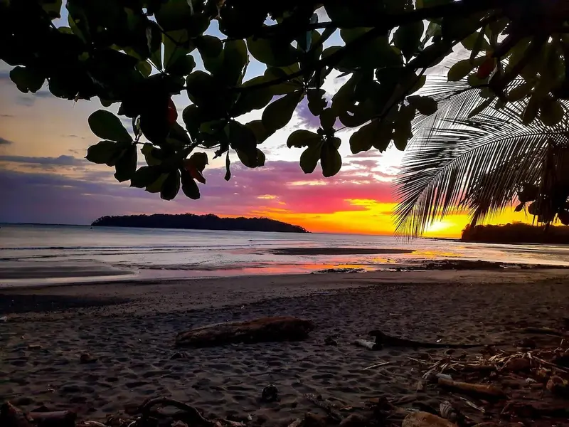 Coucher de soleil sur une plage tropicale avec végétation luxuriante.