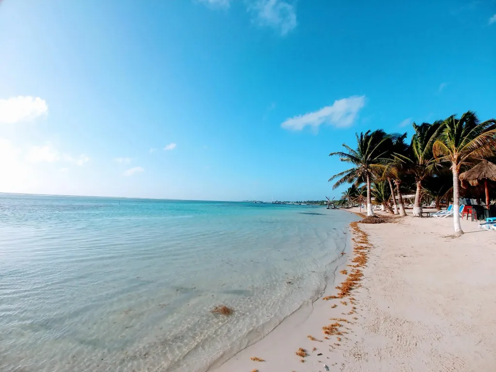 Plage de sable blanc bordée de palmiers sous un ciel bleu dégagé.