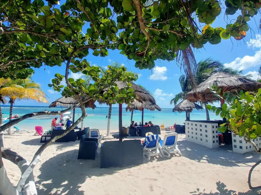 Une plage de sable blanc avec des parasols en chaume et des transats.