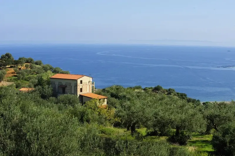 Bâtiment aux toits rouges entouré de végétation avec vue sur la mer.