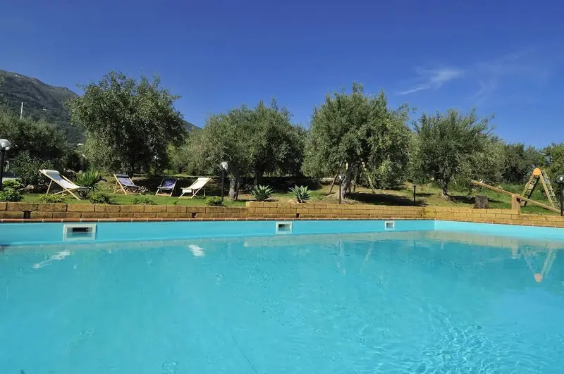 Une piscine turquoise bordée d'une terrasse avec des transats sous des oliviers.
