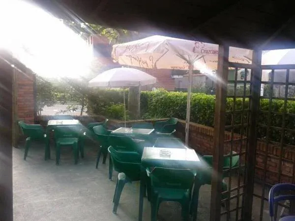 Terrasse ombragée avec tables et chaises vertes.
