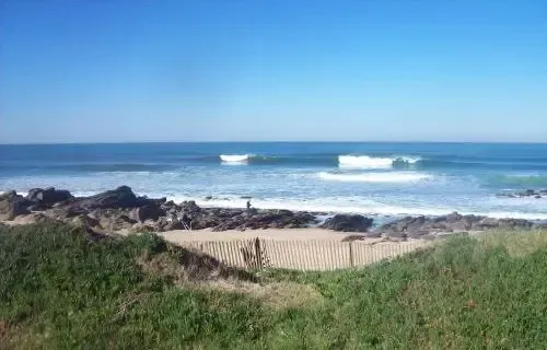 Une plage de sable avec des vagues et une végétation côtière.