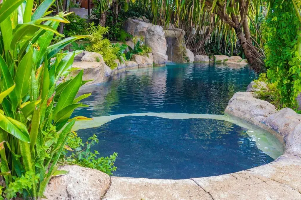 Une piscine naturelle entourée de végétation luxuriante et de rochers.