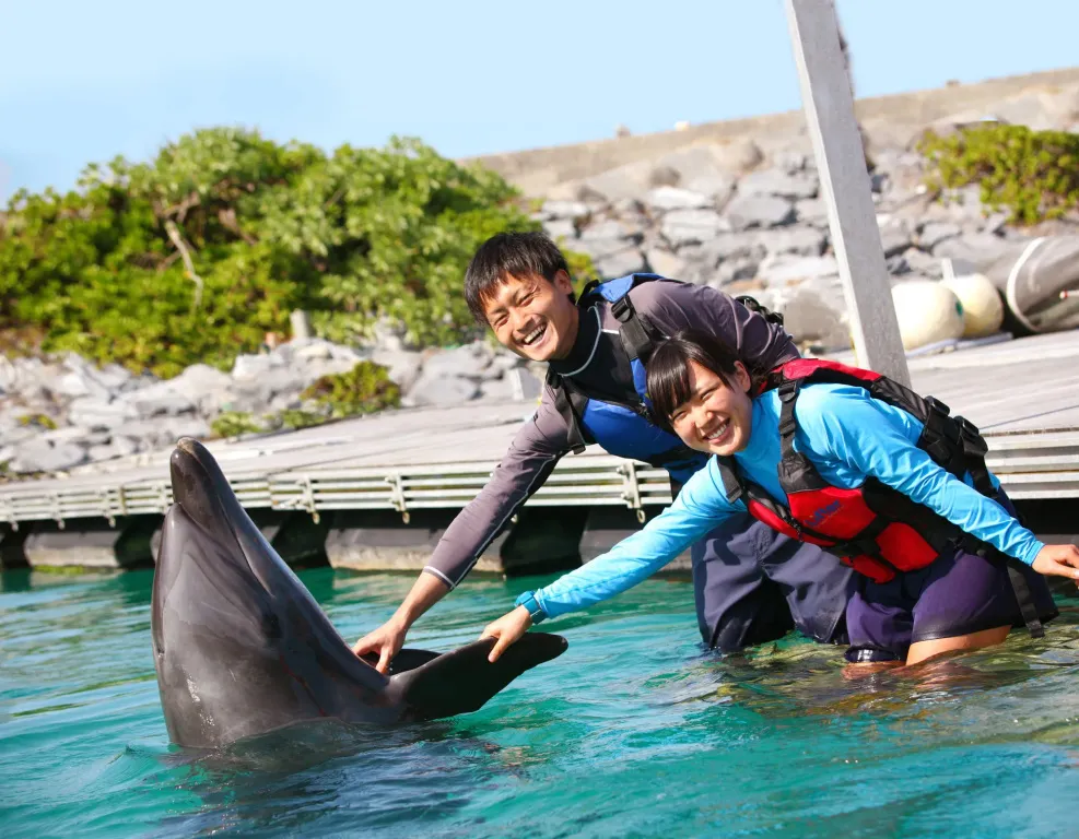 Deux personnes sourient en interagissant avec un dauphin dans une eau turquoise.