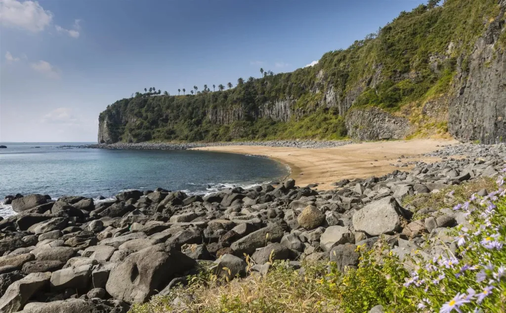 Une plage de sable sombre bordée de rochers et de végétation luxuriante.