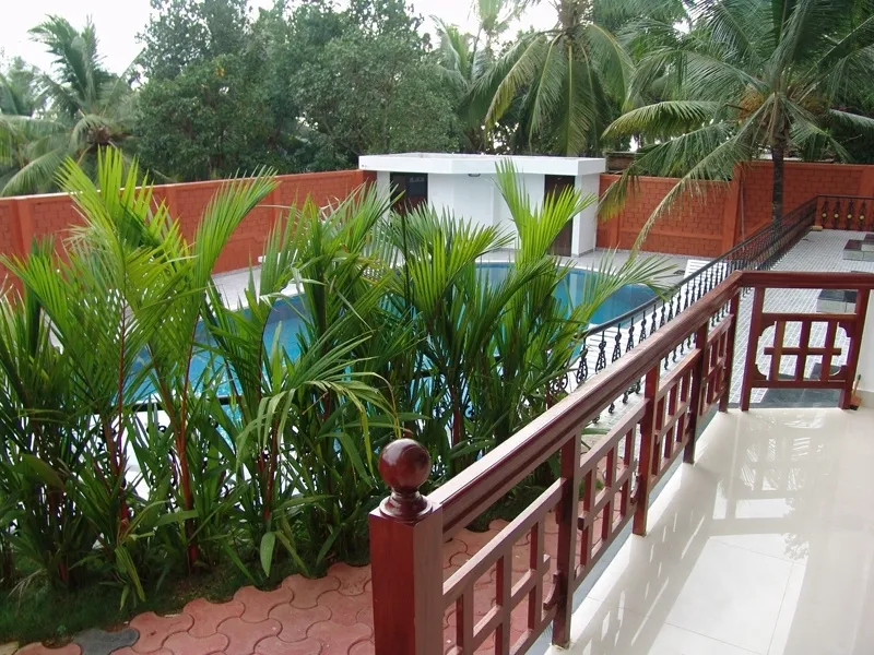 Une piscine rectangulaire bordée de végétation luxuriante et d'une terrasse.