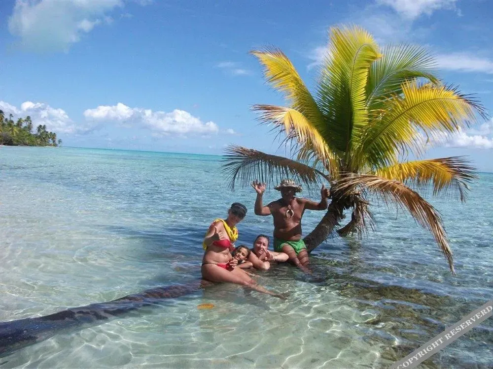 Personnes se tenant dans une eau turquoise peu profonde près d'un palmier.