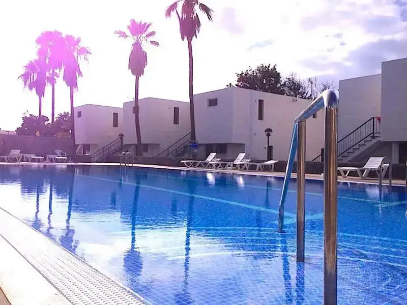 Une piscine rectangulaire avec des transats et des palmiers en arrière-plan.