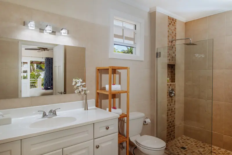 Une salle de bain lumineuse avec douche à l'italienne et vasque.