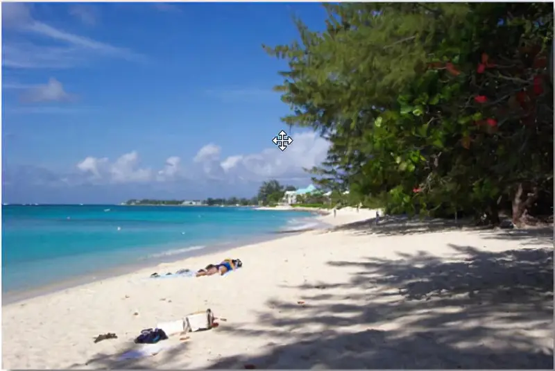 Une plage de sable blanc bordée de végétation luxuriante sous un ciel bleu.