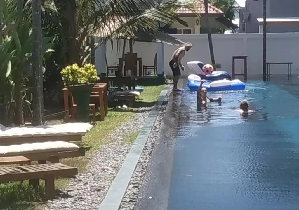Une piscine rectangulaire bordée de transats et de végétation.